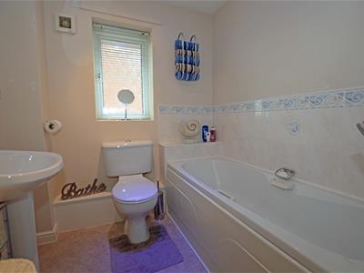 Picture 17